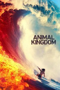 Animal Kingdom download | soap2day